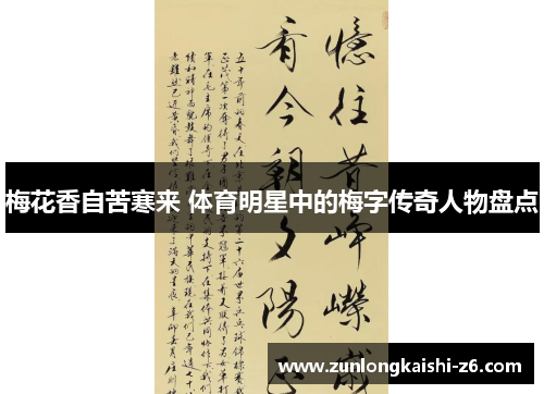 梅花香自苦寒来 体育明星中的梅字传奇人物盘点