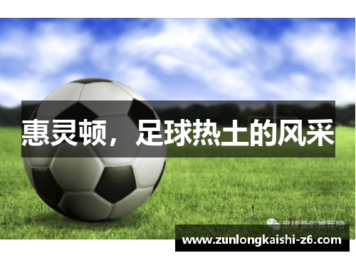 惠灵顿，足球热土的风采